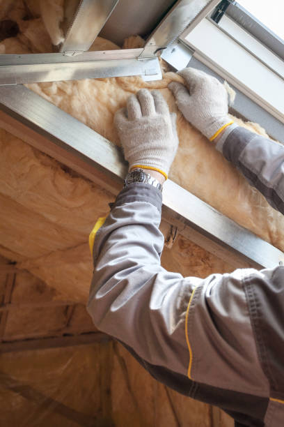 Best Cellulose Insulation in Mexia, TX